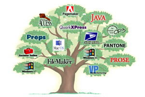 Branches of product